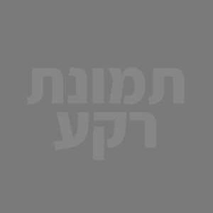 שם המוצר